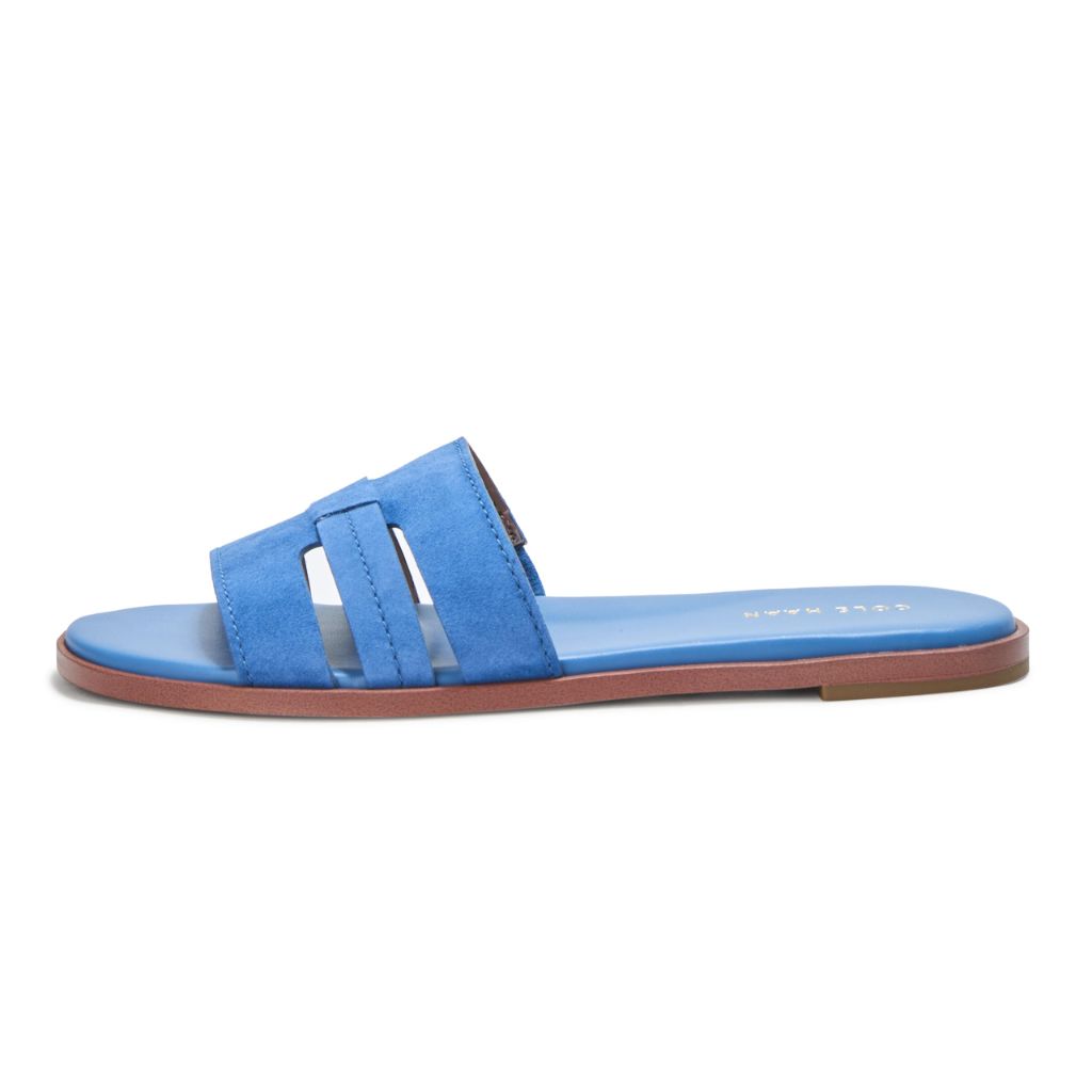 SZ 11B, Cole Haan Women's Flynn Slotted Slides, Dutch Blue Suede