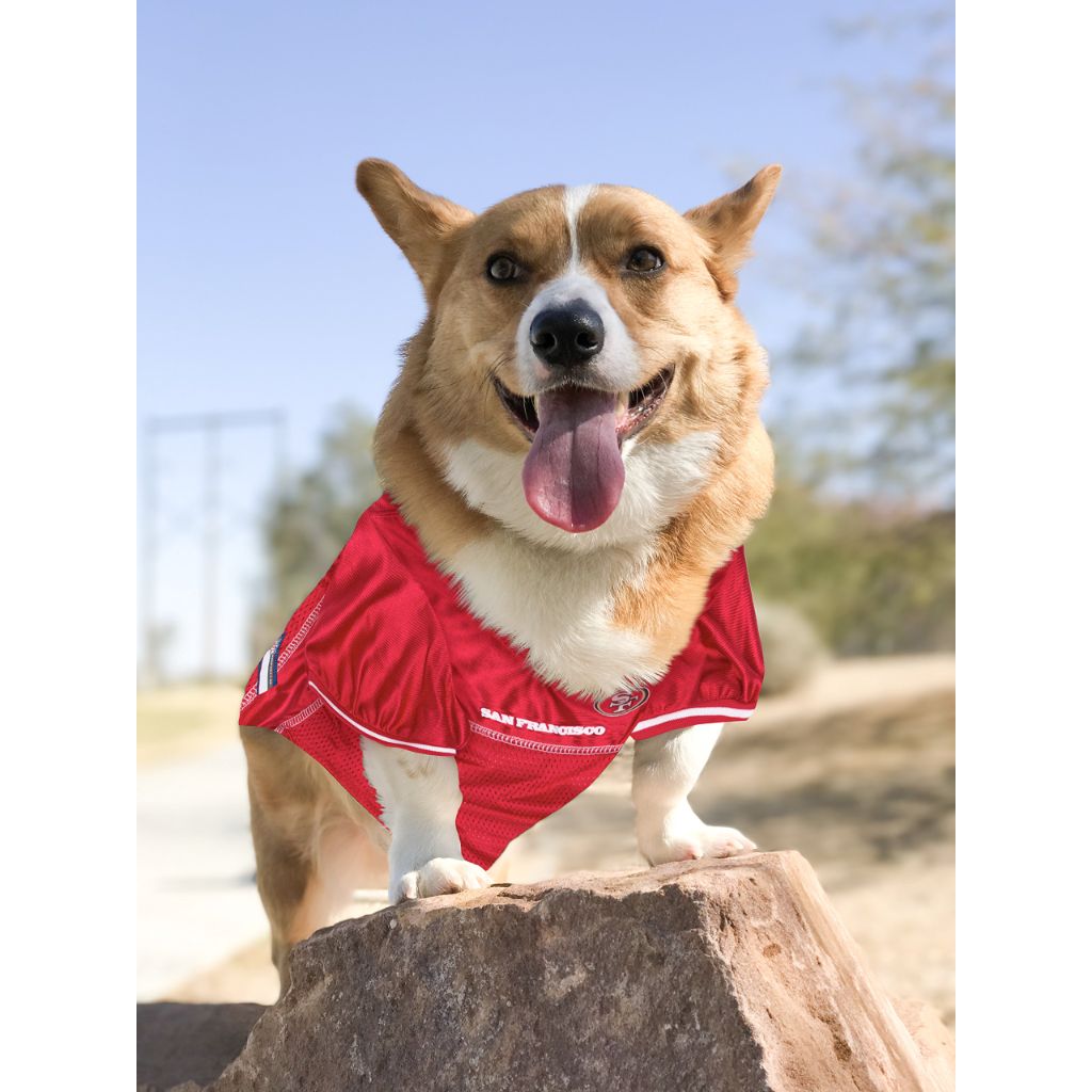 NFL SAN FRANCISCO 49ERS DOG Jersey, Large