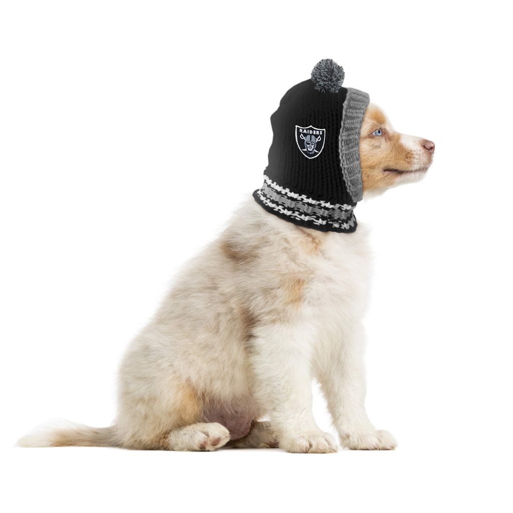 Littlearth Unisex-Adult NFL Oakland Raiders Pet Knit Hat, Team Color, Small