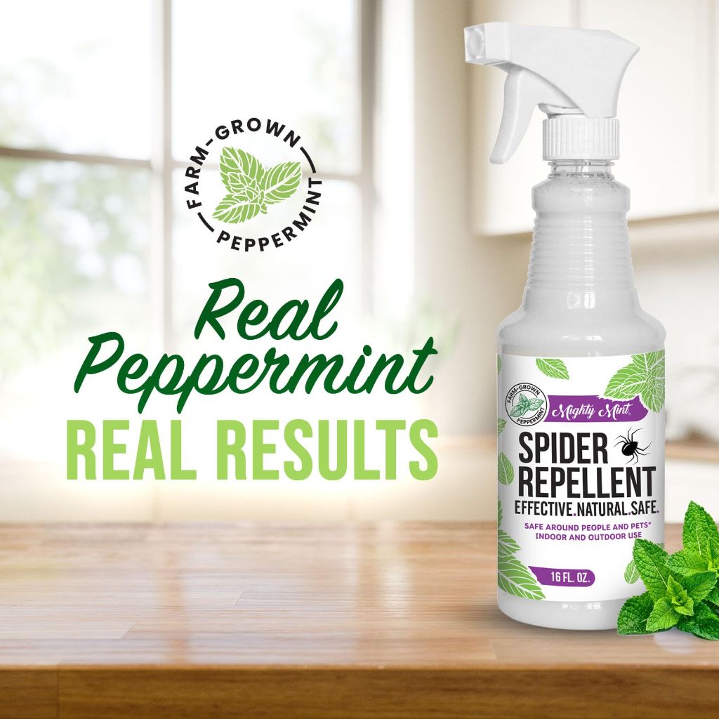 Mighty Mint Peppermint Oil Spider Repellent Spray with Microfiber Cloth – Indoor & Outdoor Bug Control for Spiders and Insects – Plant-Based, Extra-Strong Formula - 16 oz